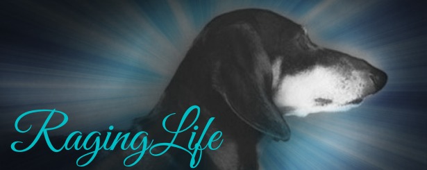 dachshund-final.jpg