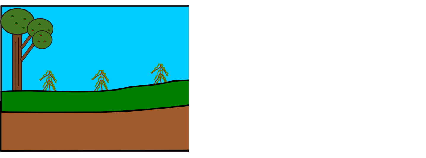 2.1.png
