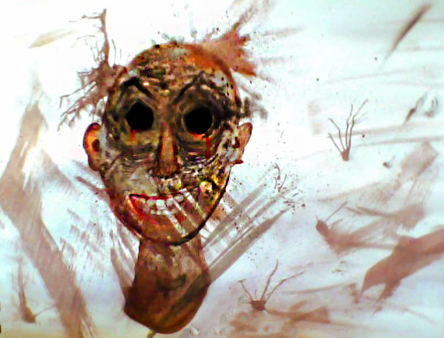 face1.png