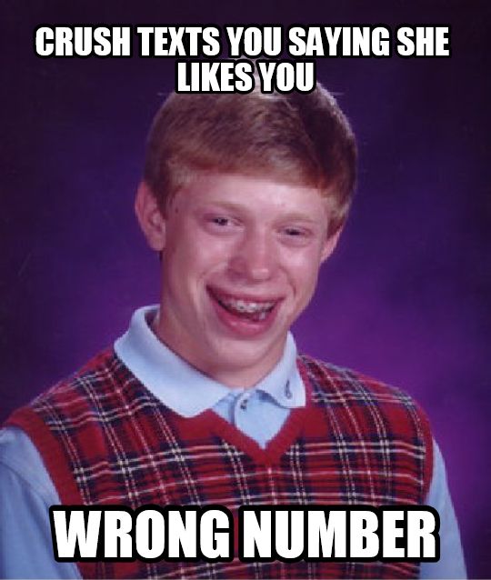737369.jpg