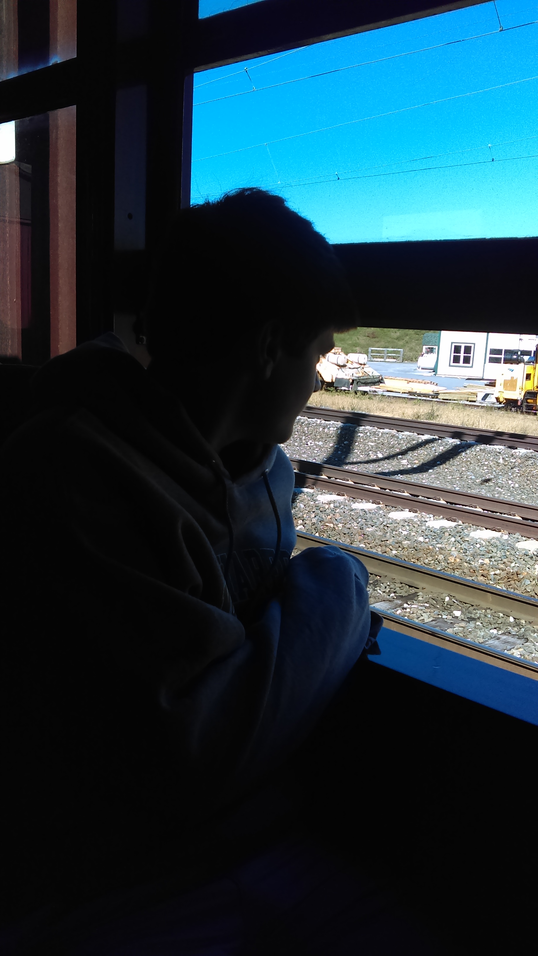 IMAG0205.jpg