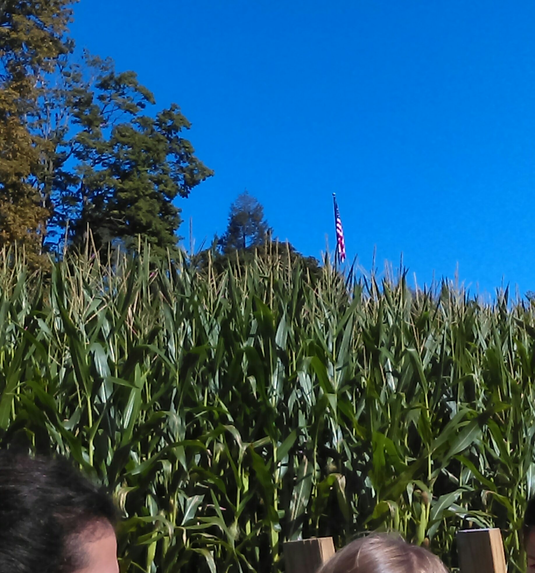 IMAG0118_1.jpg