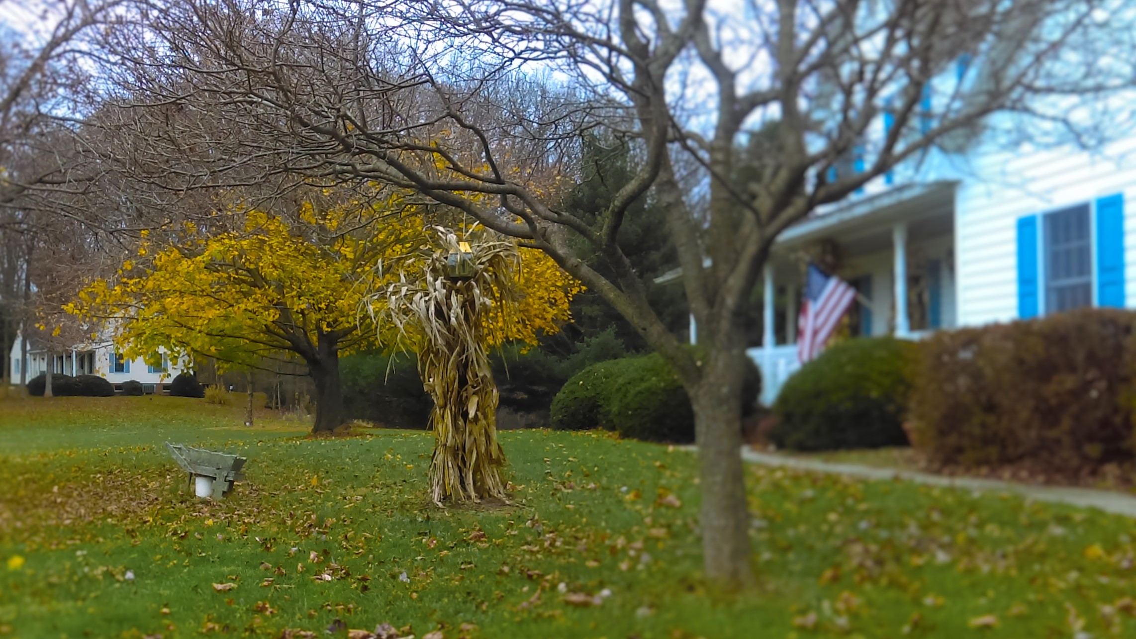 IMAG0281.jpg
