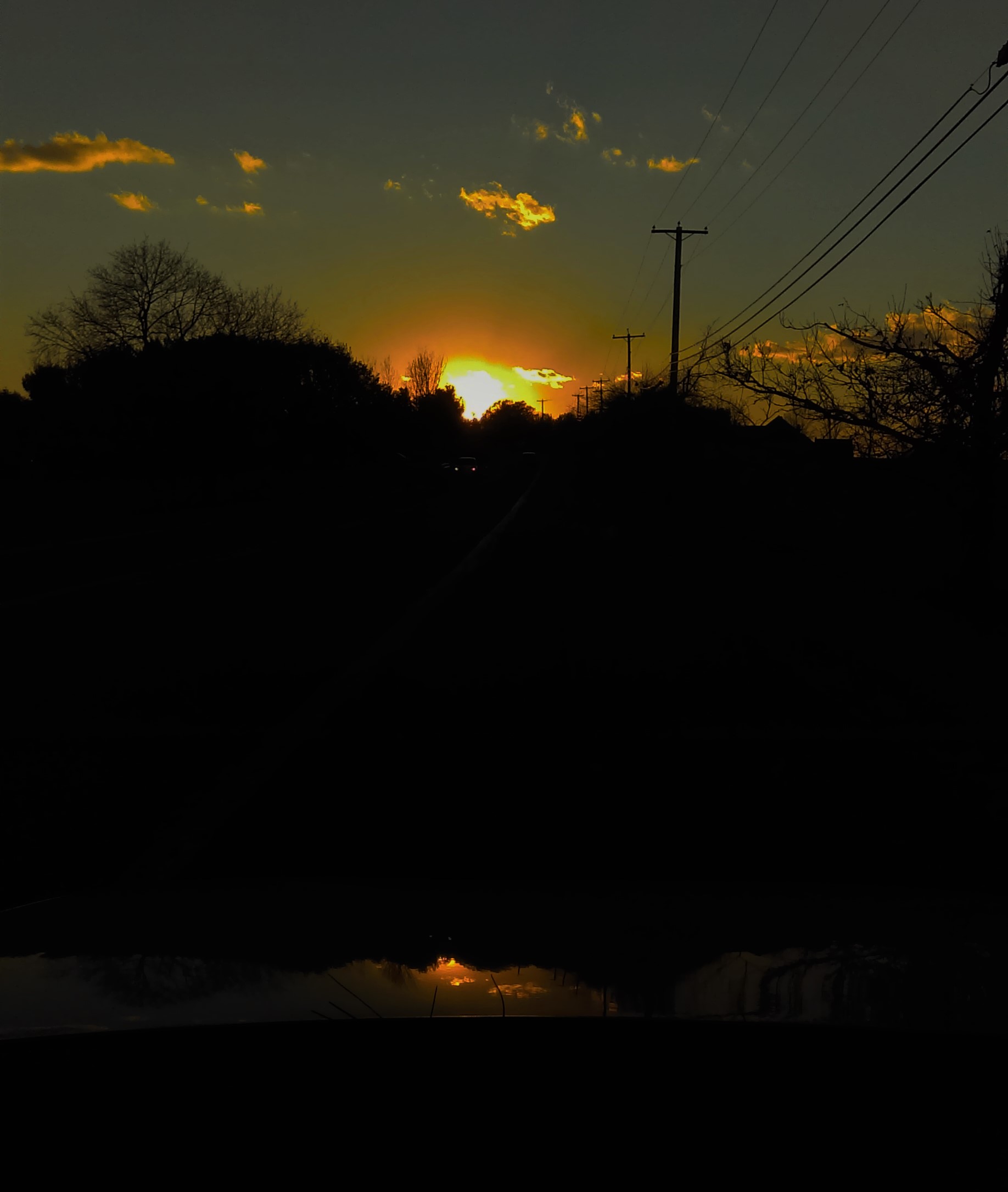 IMAG0273.jpg