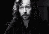 gif43.gif