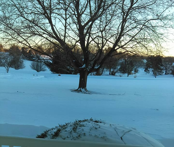snow.png