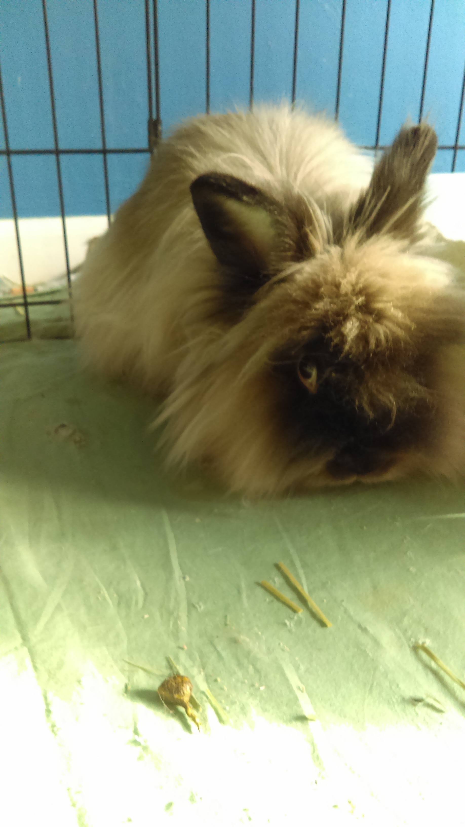 IMAG0427.jpg