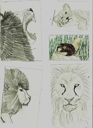 Lions0001.jpg