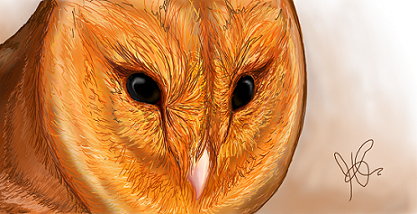 owl.png