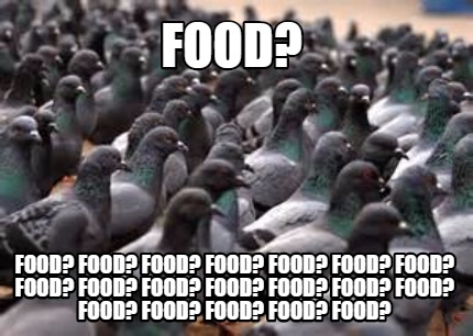 4602586.jpg