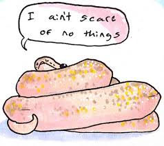 ain't scare.jpg