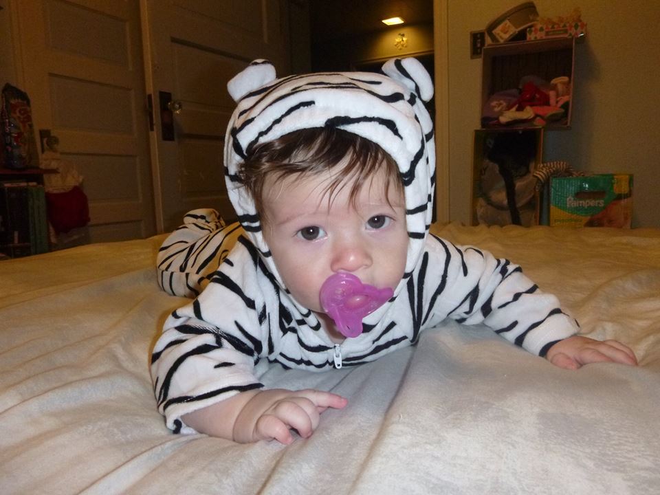 white tiger.jpg