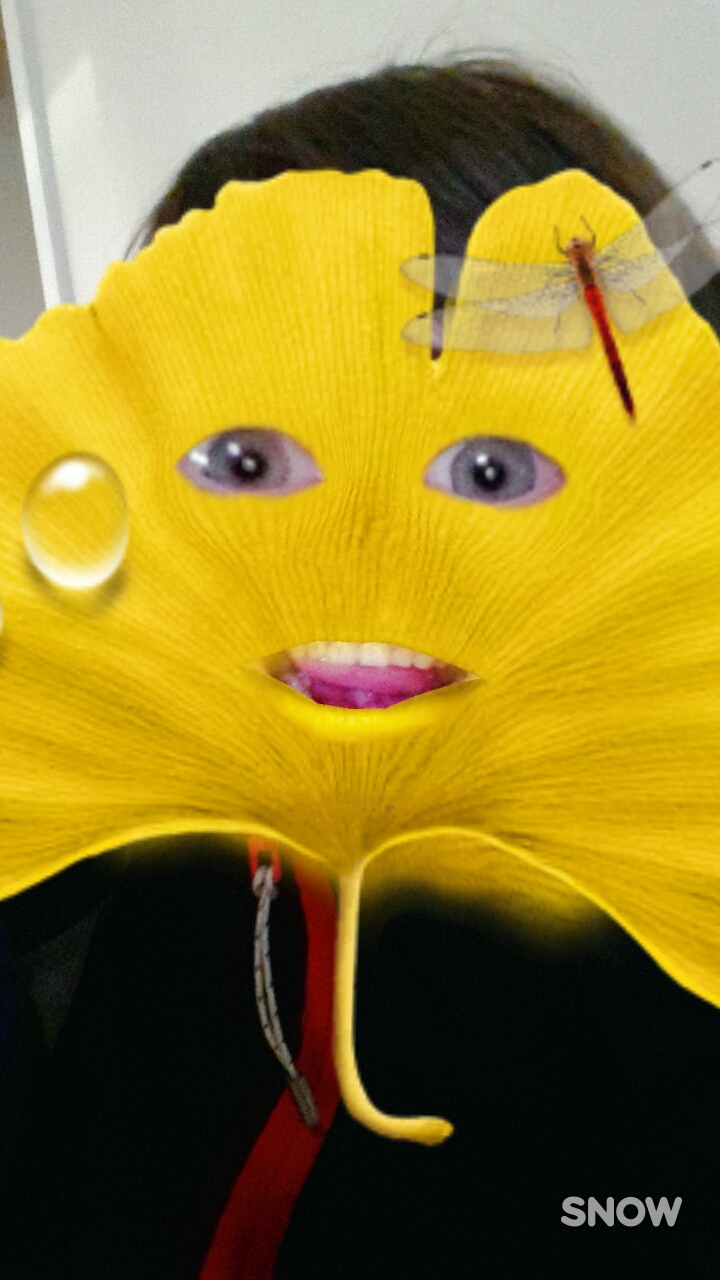 1478448407870s.jpg