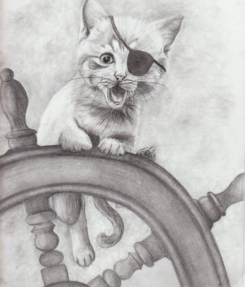 pirate_kitty_by_xwolfie36x-db8d2fr.jpg
