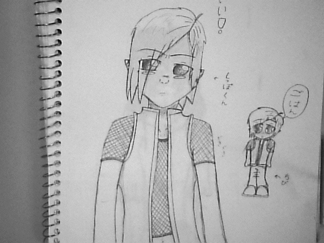 new shippo.png
