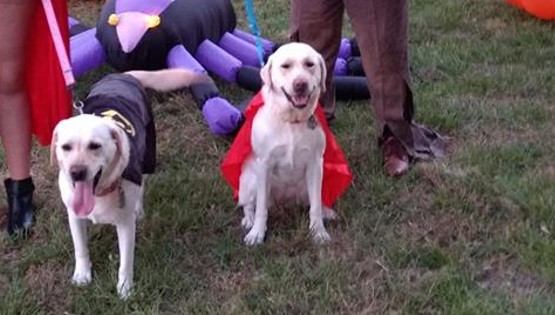 halloween 17 pt 1.jpg