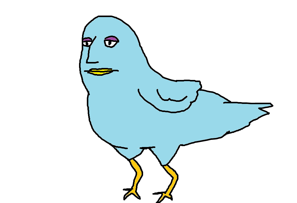burdboi.png