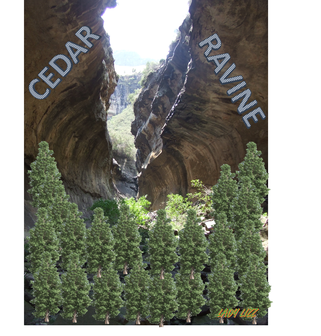 cedar ravine 1.png