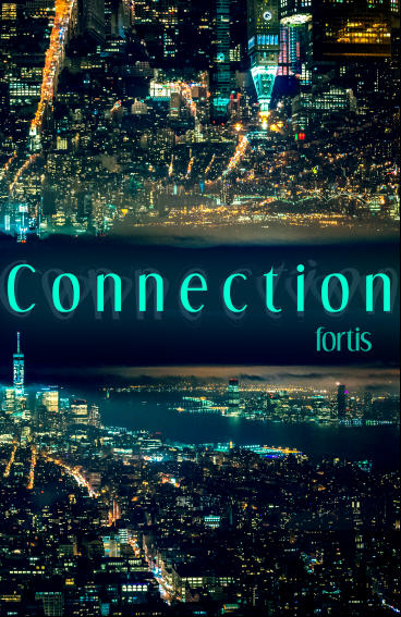 connection1.PNG
