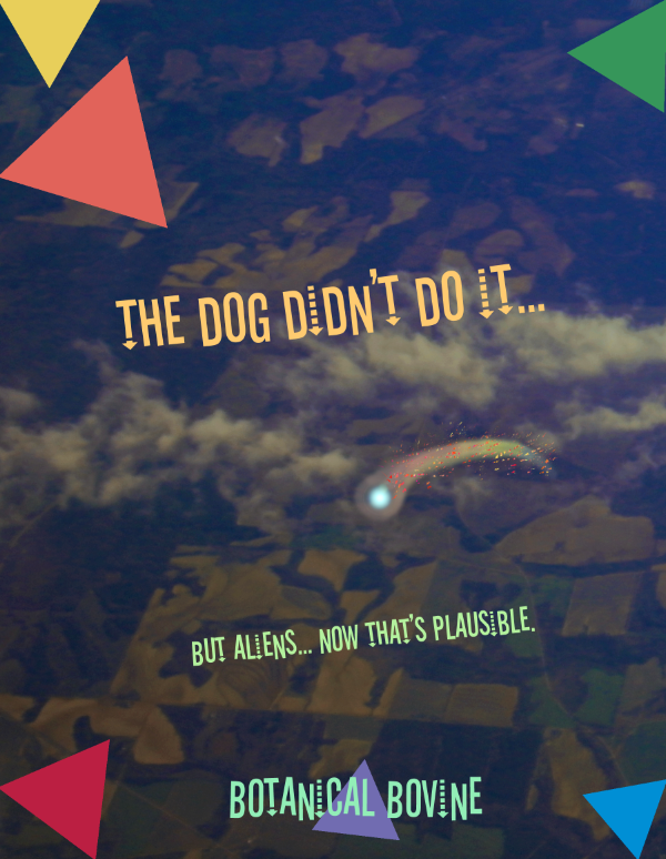 Thedogdidntdoit.png