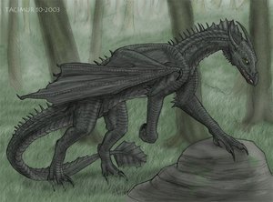 Black_dragon.jpg
