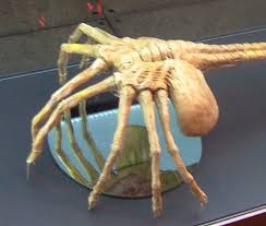 Facehugger.jpeg