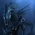Xenomprh Queen.jpeg