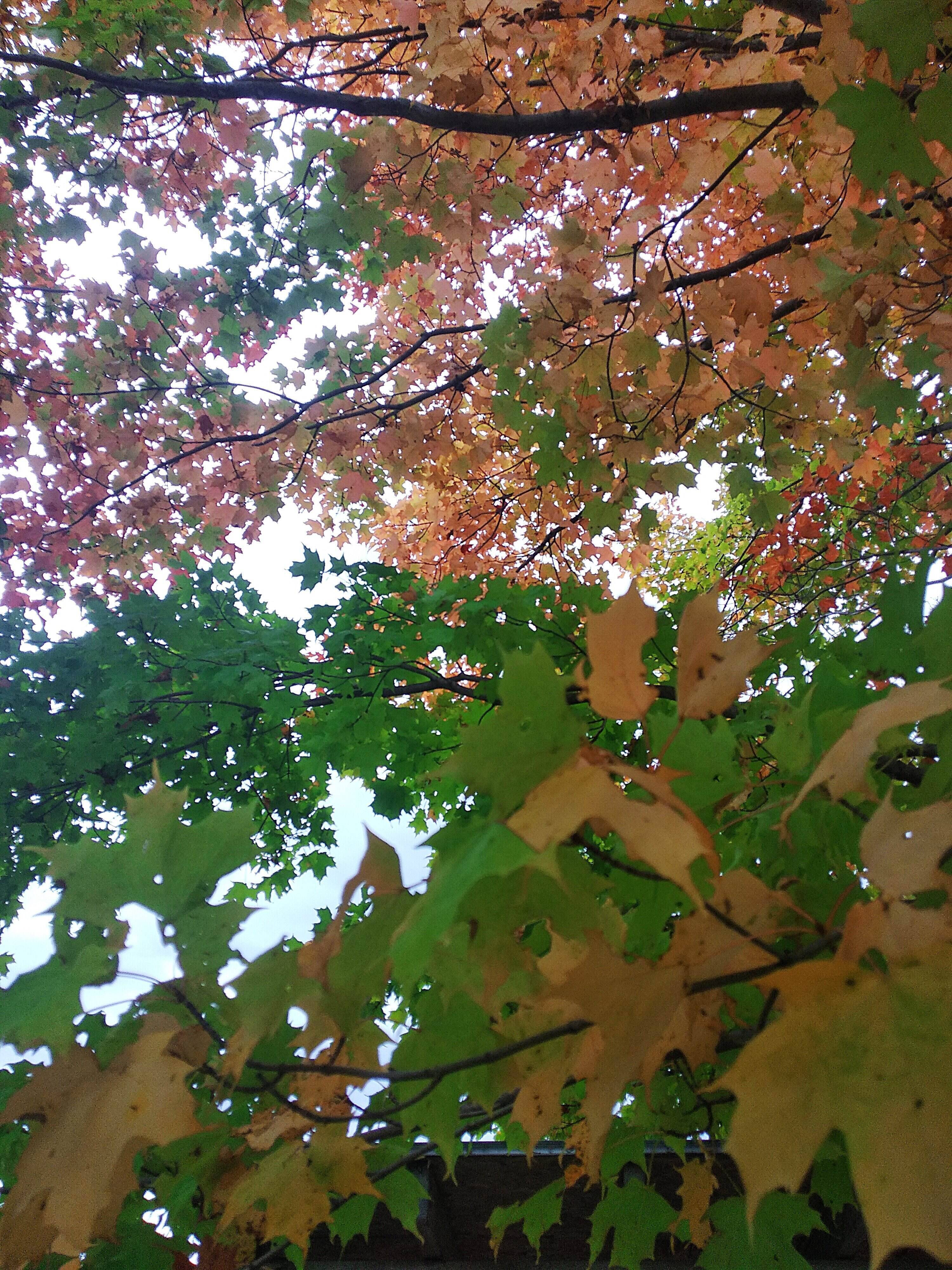 rsz_img_20201003_173210.jpg