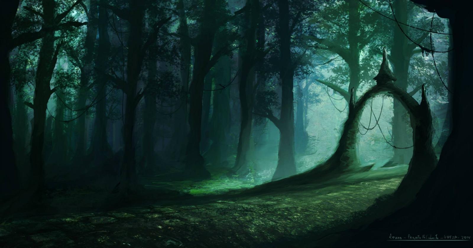 RP forest 2.jpg