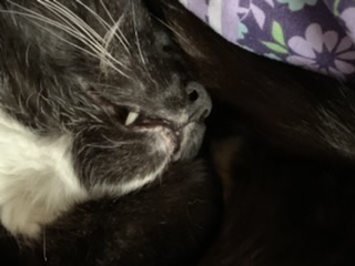 C0B89044-BD6E-4713-B845-247852D9527E.jpeg