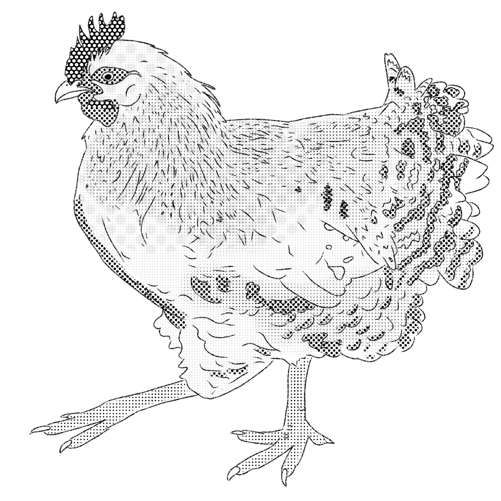 sketch1613531673082.png