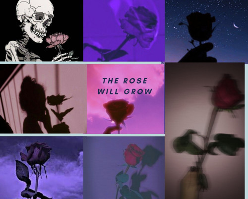 The rose will grow.jpg