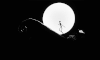 BFF1AA4F-37FD-49E6-9324-C1BA61174985.gif