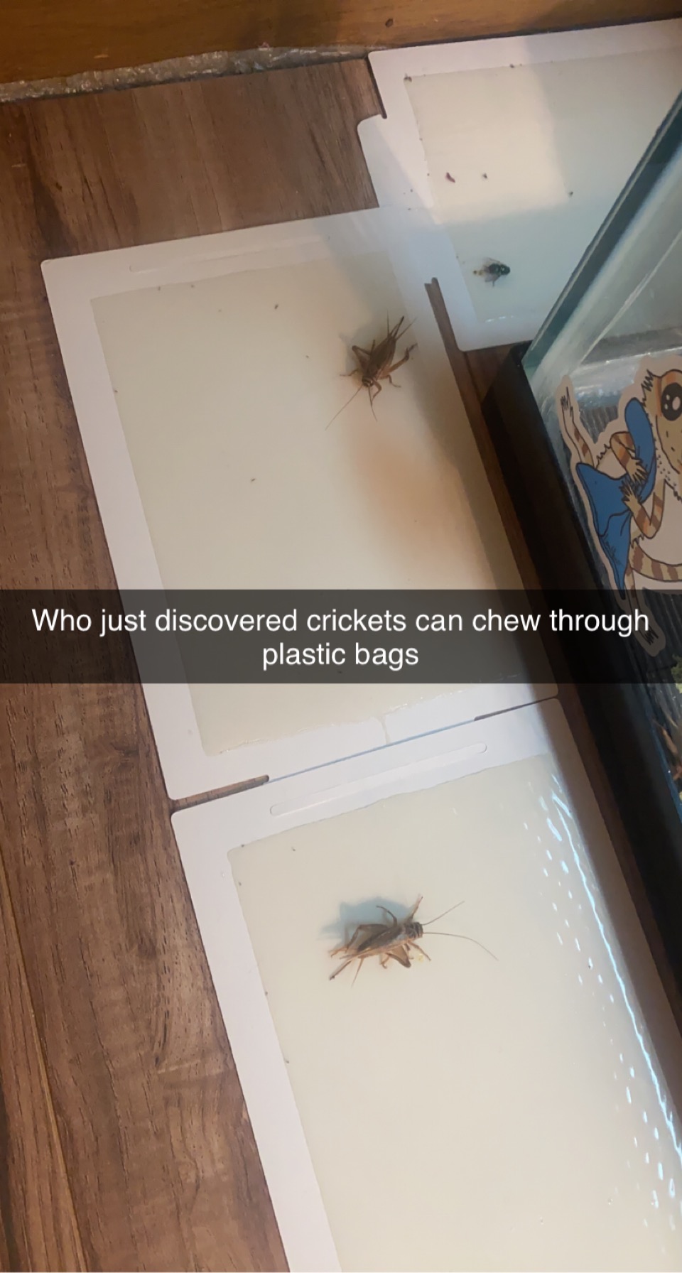 E75176E2-612E-47AC-8EBB-7CCE793827B0.jpeg