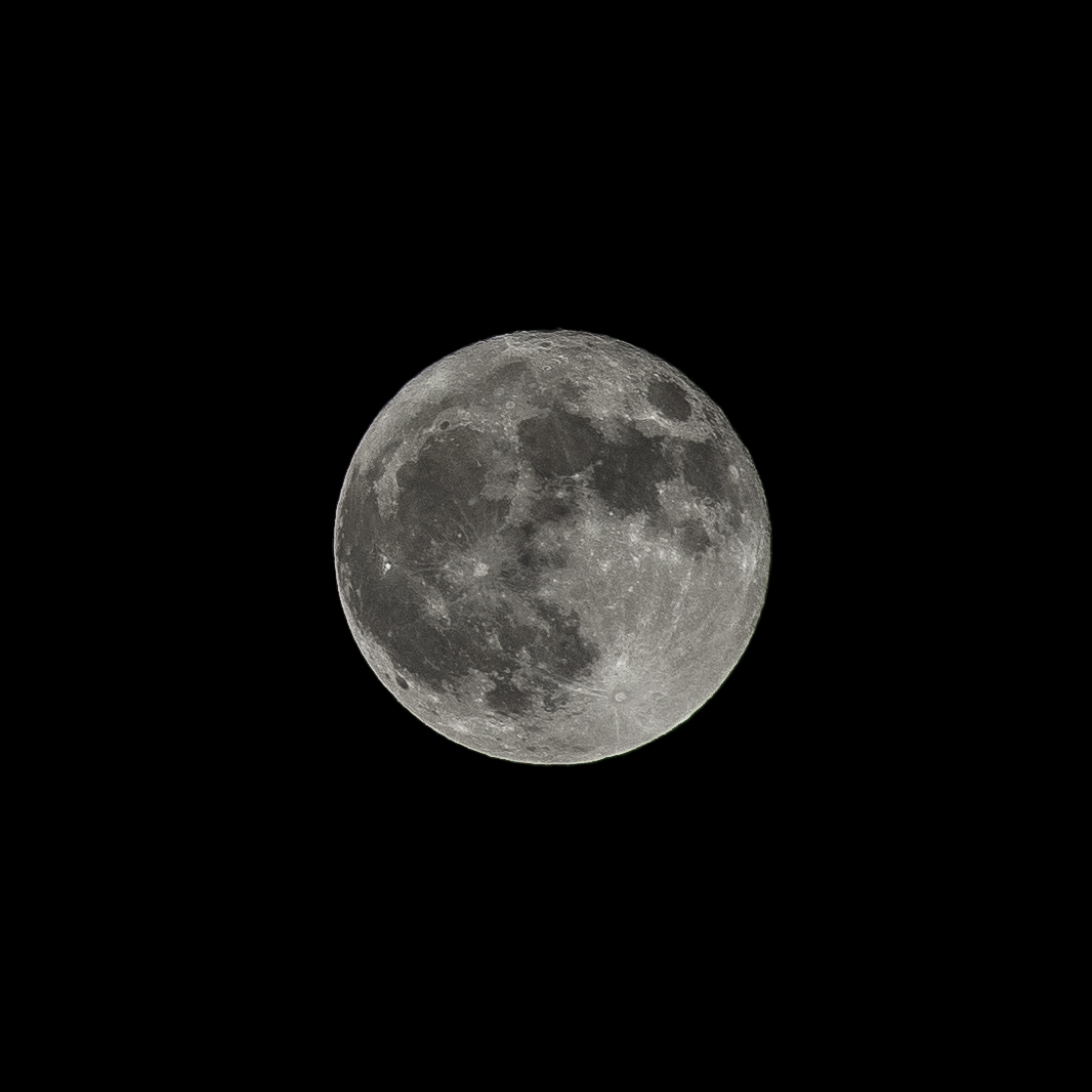 DSC03820.jpg