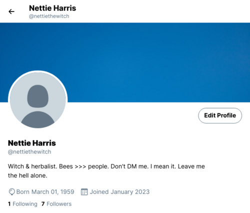 nettie's twitter profile.png