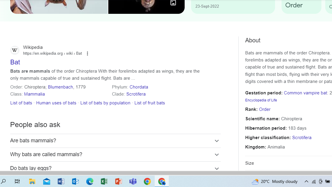 Screenshot (1).png