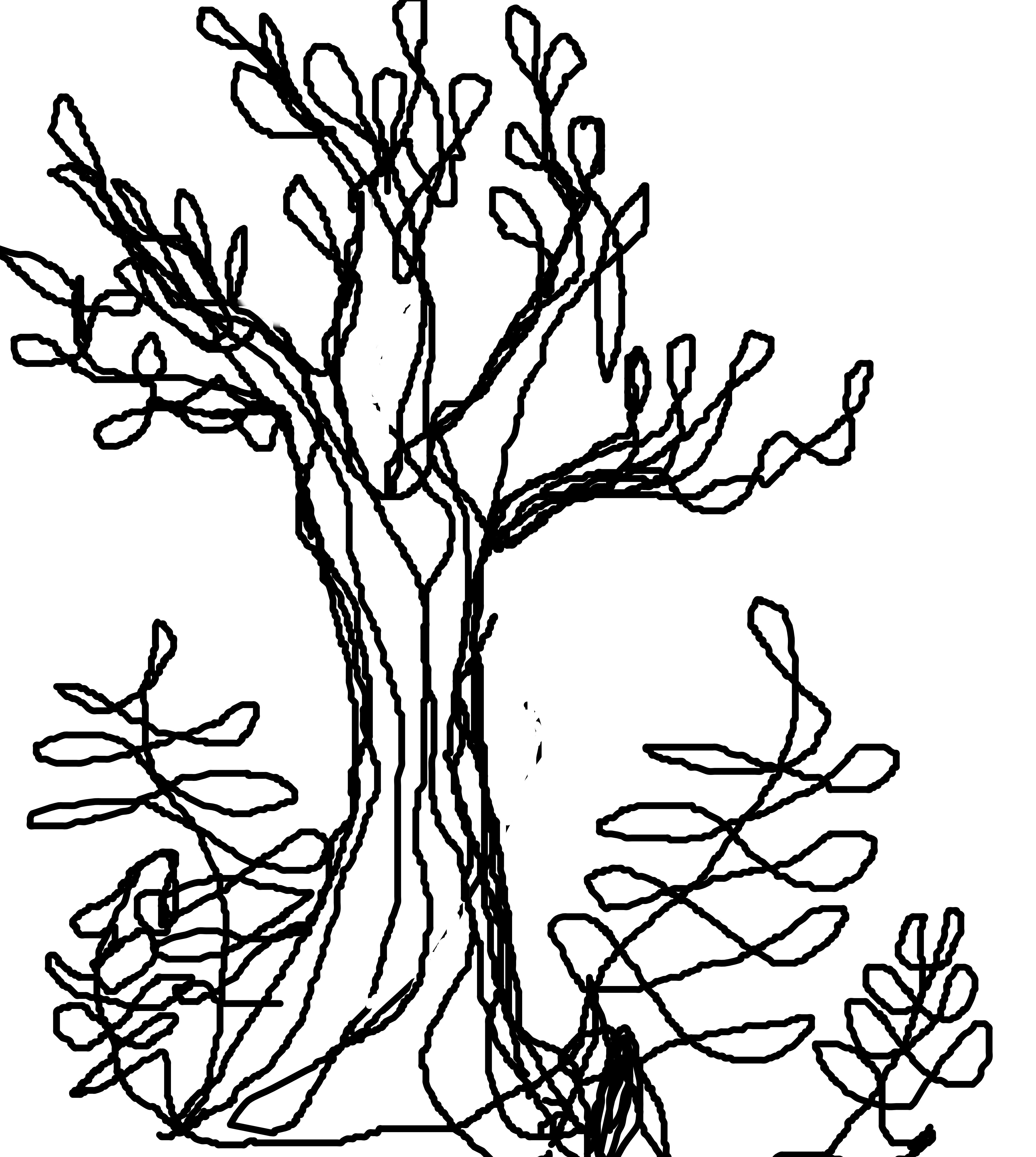 ContinousLineDrawing.png