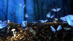 Fairy Lands.jpg