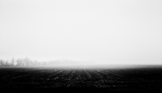 foggy-field.jpg