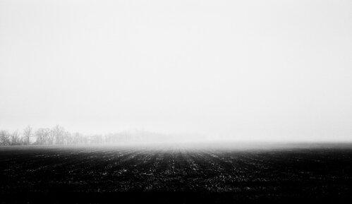 foggy-field.jpg