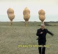 peanutmeme.jpeg