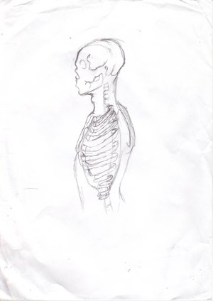 Side_View_Of_A_Skeleton_by_Raimunda.jpg