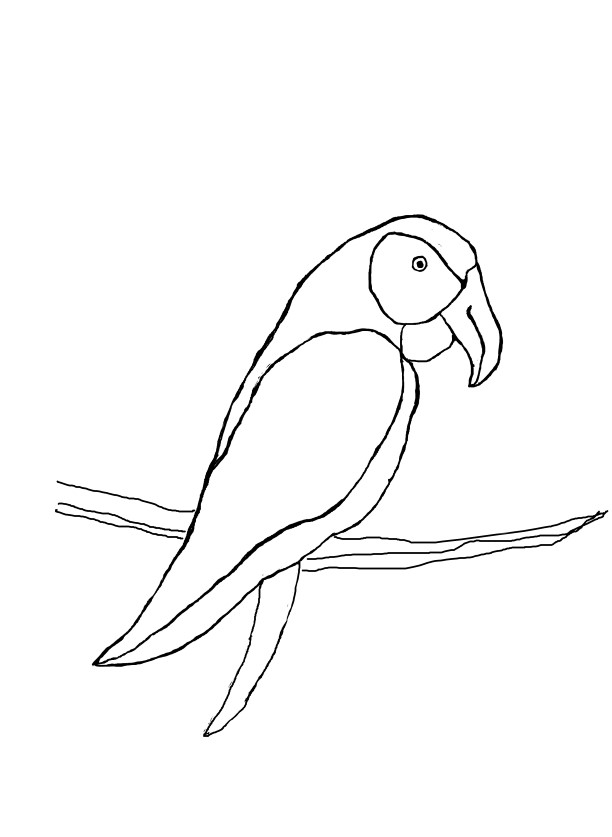 inktober exotic.jpg