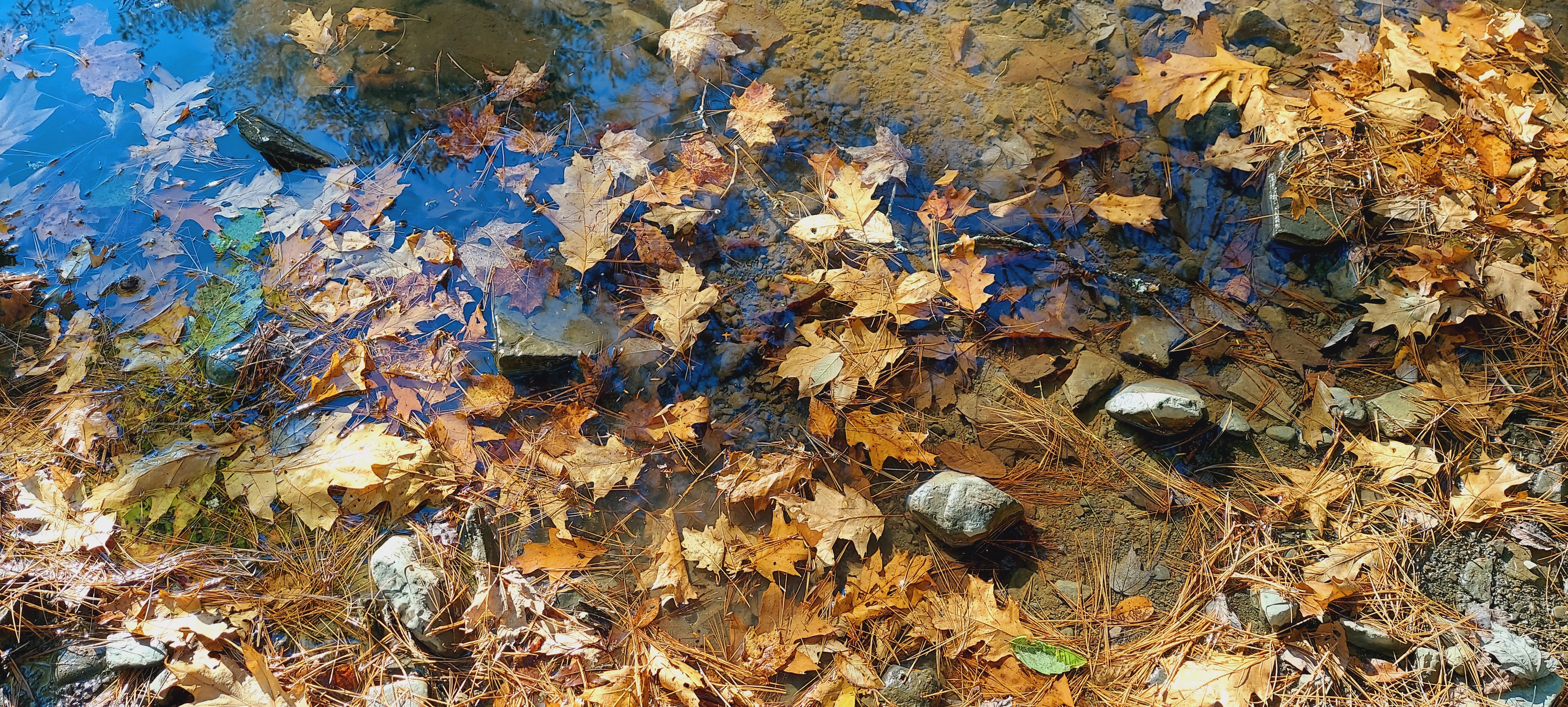 20241012_162114.jpg
