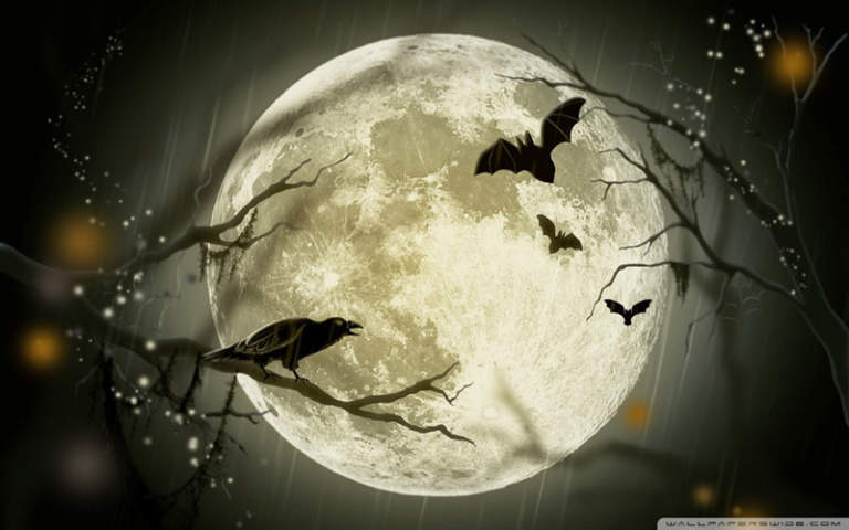 Halloween-Moon--768x480.jpg