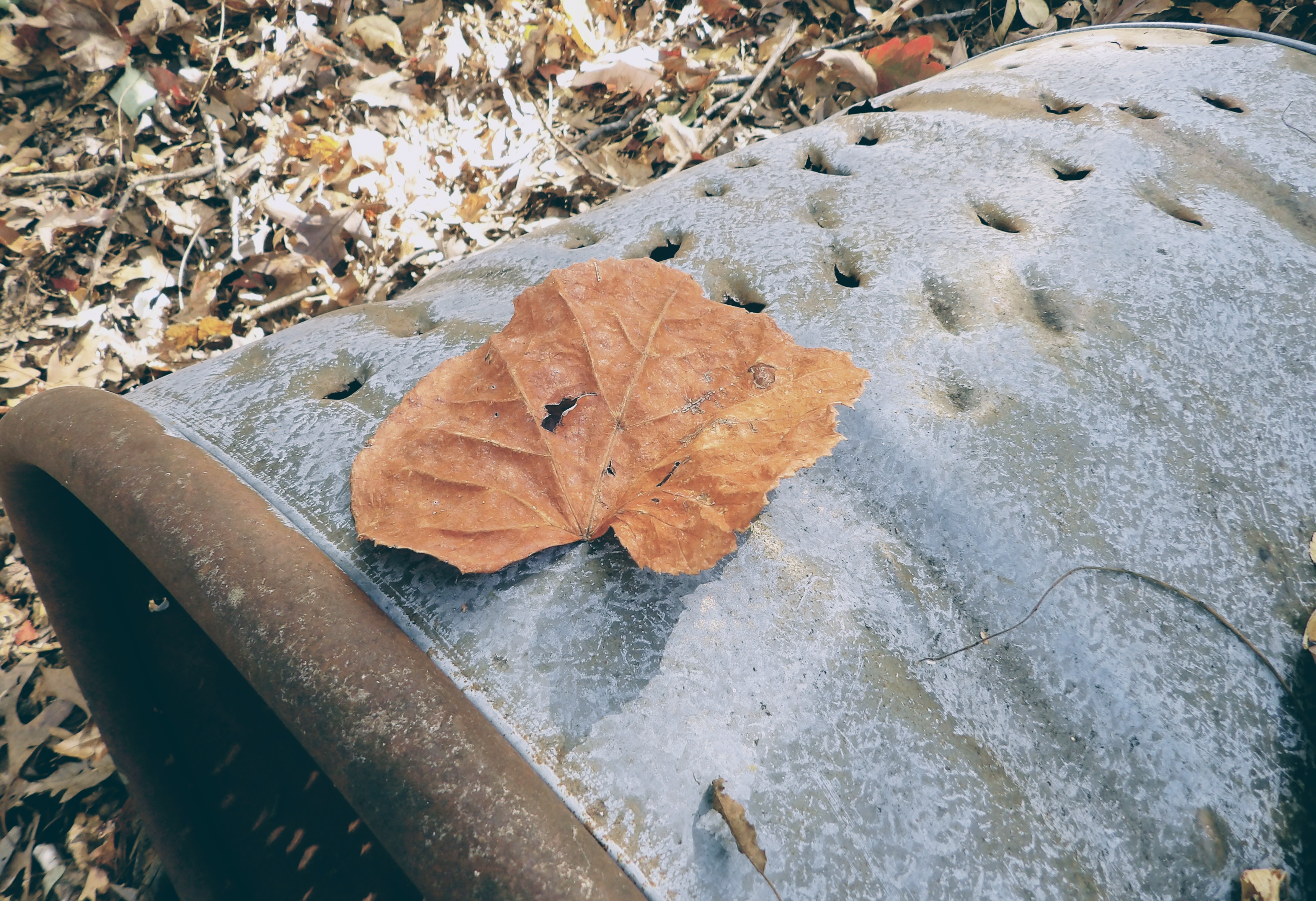 100_0190~2 (1).JPG