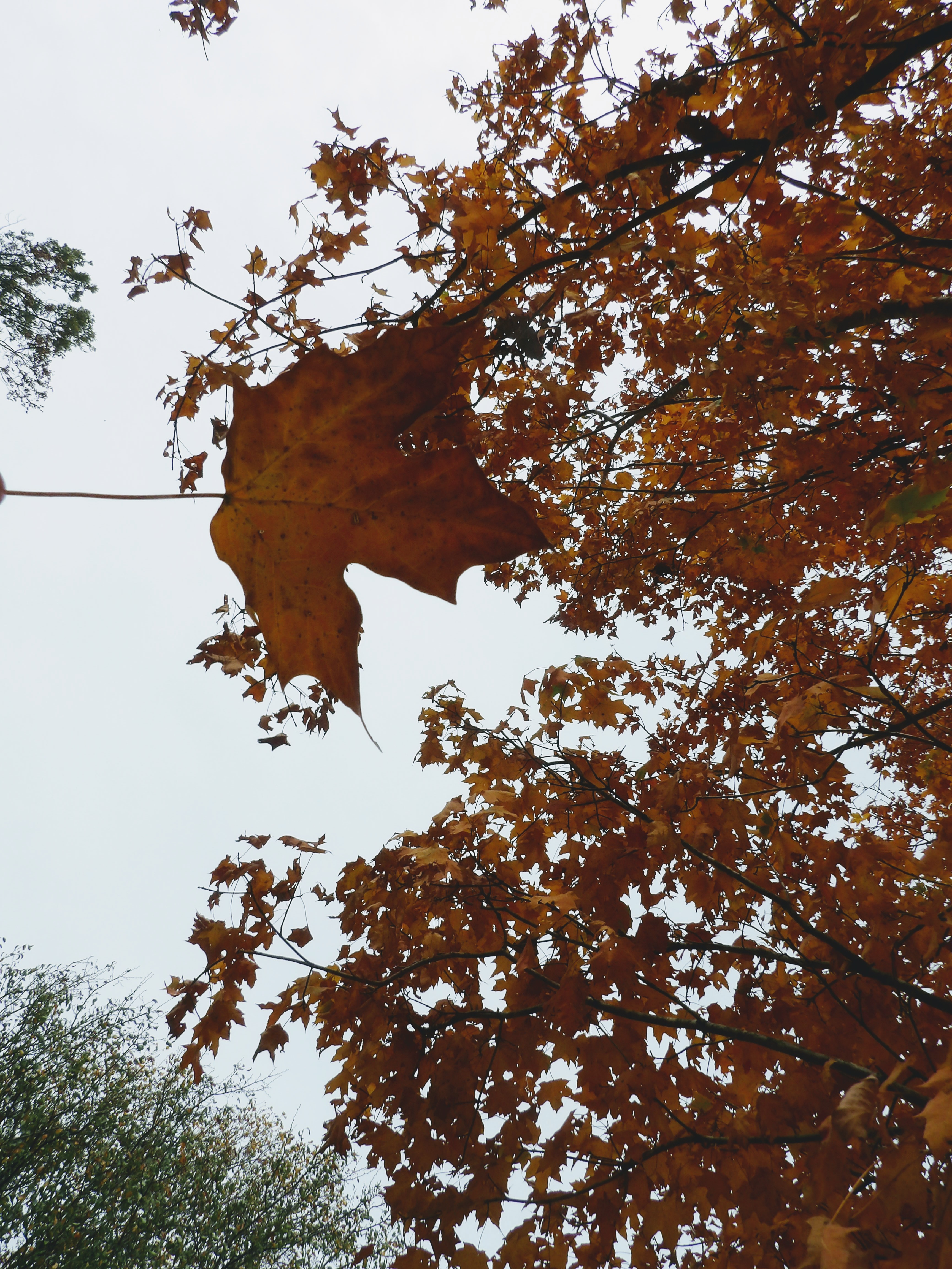 100_0201~2.JPG
