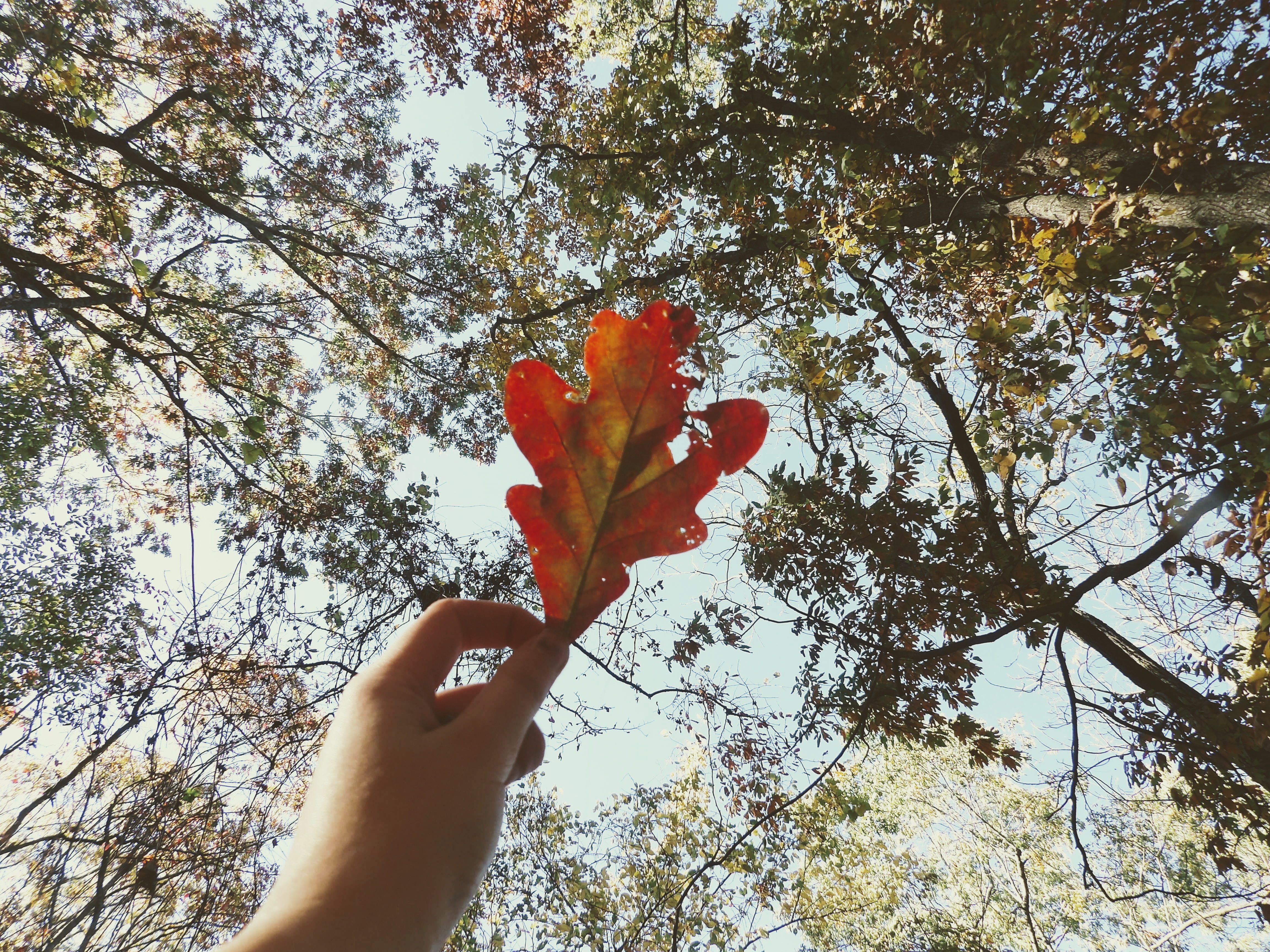 100_0187~2.JPG