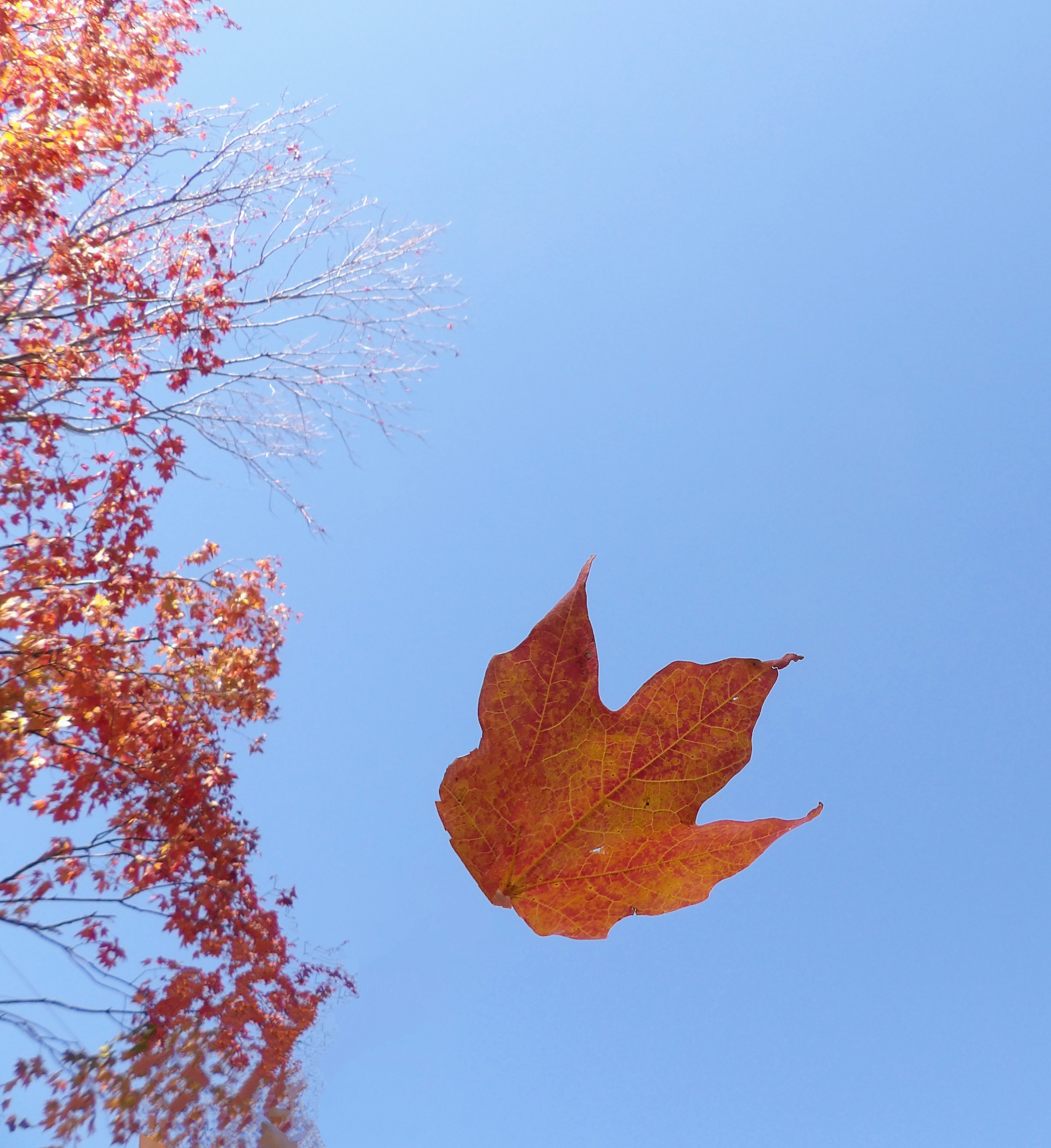 100_0171~2.JPG